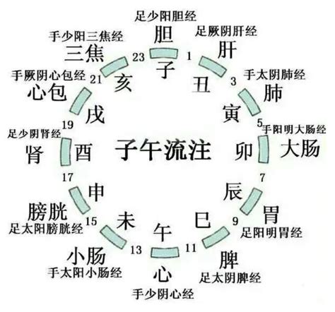 地支歌|针灸大成：十二经纳天干歌与十二经纳地支歌详解